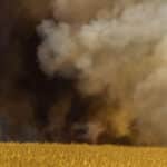 200 de hectare de culturi agricole au fost mistuite de flăcări în câteva ore