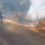 VIDEO. IGSU: Pompierii români au început să lupte cu focul în sud-vestul Franţei